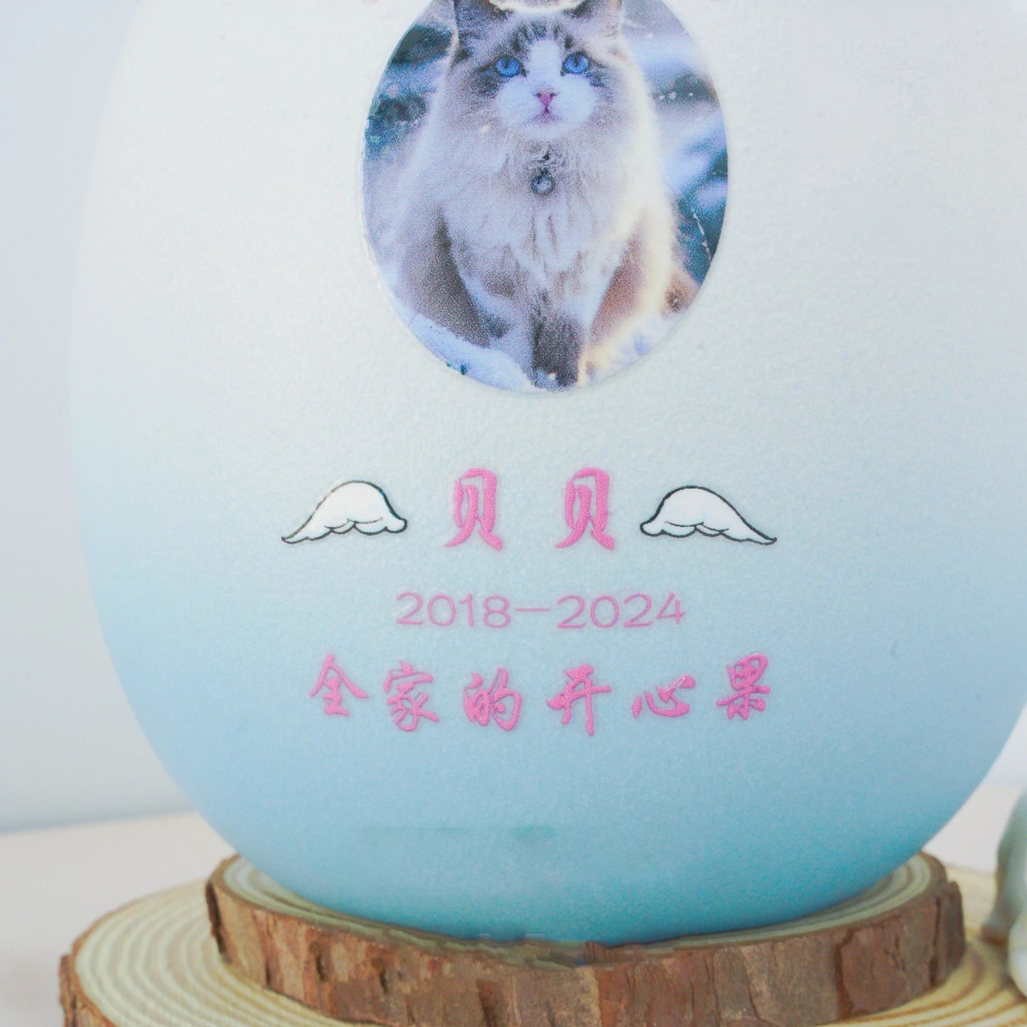 Kitten Cat Dog Puppy Urn Pet Custom Pattern Hand-painted Memorial Funeral Urn Souvenir