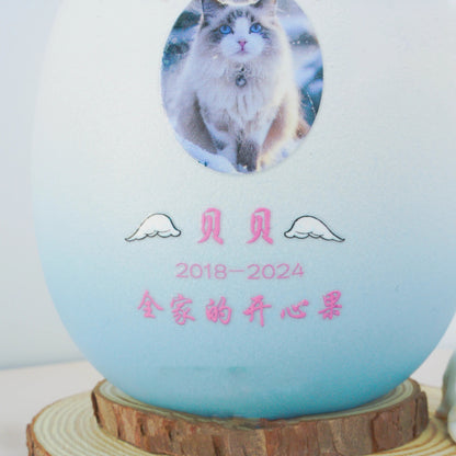 Kitten Cat Dog Puppy Urn Pet Custom Pattern Hand-painted Memorial Funeral Urn Souvenir